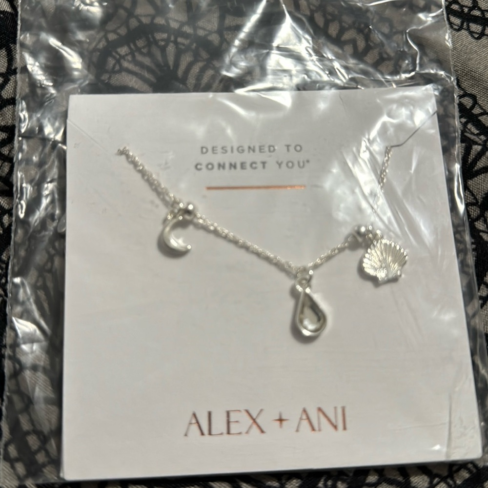 Alex and ani expandable anklet